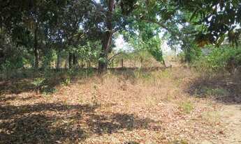 Imagem 7: Chácara 25.000m² Com Casa 3 Quartos 12 Km do Paranoá e Planaltina