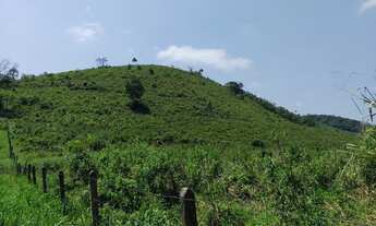 Imagem 6: Sítio 14 Alqueires 12 Alqueires aberto ( Willian Ricardo