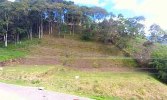 Imagem 3: Lotes no Cônego - Excelente topografia e localização