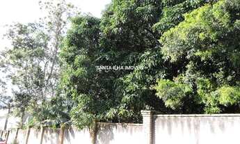 Imagem 7: FLORIANóPOLIS - Terreno Padrão - Rio Tavares