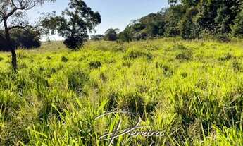 Imagem: Linda Fazenda venda 1160 Hectares - Primavera