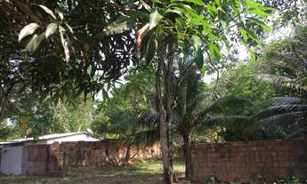 Imagem 5: Lote Plano de 1.200m² no Pq das Laranjeiras