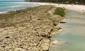 Imagem: Apartamento para venda com 30 metros quadrados
