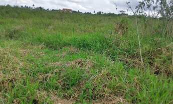 Imagem 5: Terreno em salgado Se