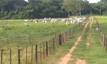 Imagem: Fazenda/Sítio/Chácara para venda tem 2500