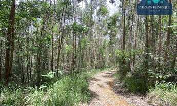 Imagem 5: Terreno à venda, 96000 m² por R$ 340.000,00 - Centro - Pedra Bela/SP