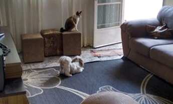 Imagem: Boituva - Casa Padrão - Terras de Santa