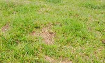 Imagem 4: Vende se terreno 1500 m $ 75.000