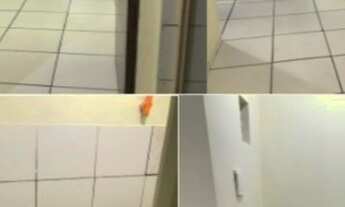 Imagem 3: IMÓVEL PARA RENDA R$ 1.480.000,00 JARDIM SANTA BÁRBARA / PARQUE GRAJAÚ Imóvel Residencial