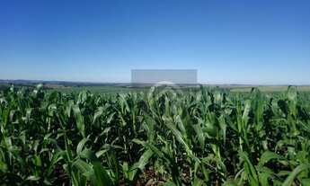 Imagem: Fazenda à venda, 290400 m² por R$ 2.000.000,00