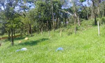 Imagem 6: AREA P/ DESDOBRO 2 ALQUEIRES - Moreiras Mairinque - Com 5 Chácaras de 10.000 m. quadrados