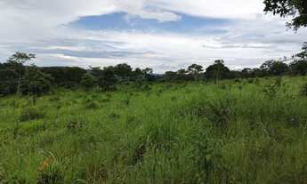 Imagem 5: Fazendinha 85 Hectares!!!!!Otima Estrutura!!!