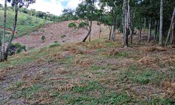 Imagem 2: Lote/Terreno para venda tem 121000 metros quadrados