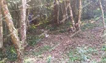 Imagem 5: Excelente Chácara Sem Benfeitorias