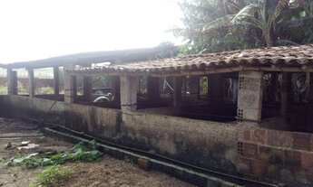 Imagem 3: Vendo Este Terreno