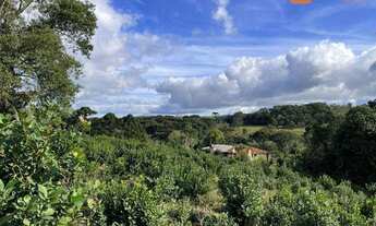 Imagem 7: Área à venda, 24.200 m² por R$ 540.000 - Rio Do Salto - Cascavel/PR