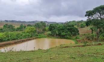 Imagem 2: Espetacular chácara com casa sede piscina curral água 2 alqueires 1500m estrada de chão