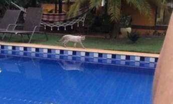 Imagem 4: Casa 4 quartos Porto das baleias - Praia do Forte - Mata de São João/BA