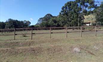 Imagem 5: Haras com 5,5 ha, casa sede, casa de apoio e escritório em Sapucaí-Mirim - MG