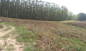 Imagem 2: Terrenos com ótima localização