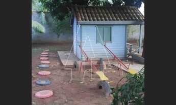 Imagem 3: Santo Antônio do Aracanguá - Fazenda/Sítio - Macaúba