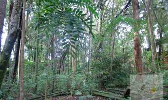 Imagem 6: Venda terreno Vista Alegre testada 72,30