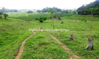 Imagem 5: Rural de 60000 metros quadrados no bairro Papucaia com 2 quartos