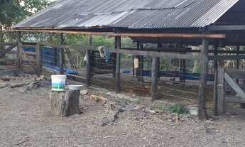 Imagem 7: Sítio em Edilandia GO