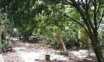 Imagem 4: Casa a Venda no Bairro do Rio Vermelho - R$ 270 mil