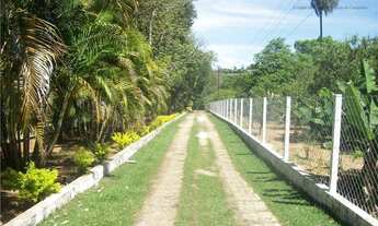 Imagem 2: Chácara com 3 dormitórios à venda, 8600 m² por R$ 1.300.000,00 - Jardim Roseira de Baixo