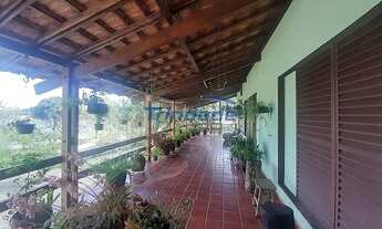 Imagem 3: Aluguel Residential / Home Belo Horizonte MG