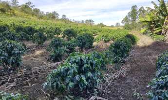 Imagem 7: Sítio de 5 alqueries - Café -Pasto