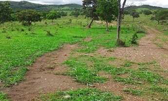 Imagem 3: Fazenda - Cocalzinho de Goiás - 158 alqueires - Toda formada - C/ Bastante água