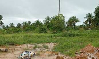 Imagem 7: 3 lotes a 300 metros da Praia do Toque em Sao Miguel dos Milagres