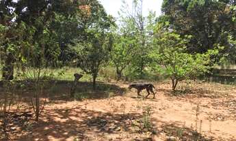 Imagem 2: Park way 20.000 m2 com ou sem área verde venda smpw 28