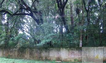 Imagem 2: Venda terreno Vista Alegre testada 72,30