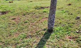 Imagem: 43.Lote/Terreno para venda com 600 metros