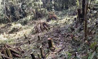 Imagem 6: Vende - se Sítio em Juquitiba