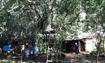 Imagem 6: Fazenda 66 Alqueires, 40 km de Palmas