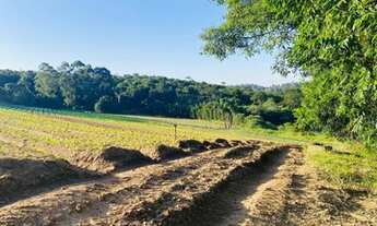 Imagem 4: Terrenos Planos e Limpos Para Sua Casa de Campo em Ibiúna - SP
