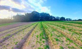 Imagem 4: Lote/Terreno para venda tem 500 metros quadrados em Centro - Piedade - SP