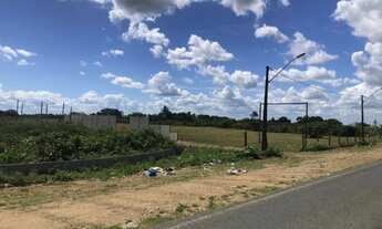 Imagem 3: Sítios de 1.200m² em Conceição da Feira