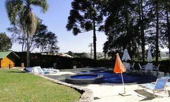 Imagem 7: QUATRO BARRAS - Casa Padrão - Jardim Menino Deus