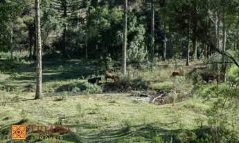 Imagem 3: Terreno - Rio Rufino SC