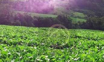 Imagem 2: Fazenda à venda, 375100 m² por R$ 3.600.000,00 - Centro - Coronel Vivida/PR