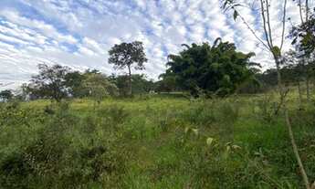 Imagem 4: Terreno com área de 2,5 ha em Sítio Novo - Mateus leme/MG