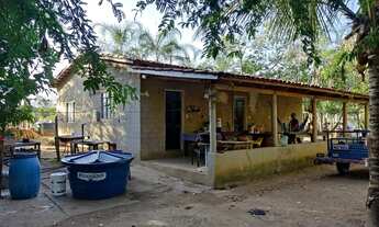 Imagem 4: Chácara em Cesarina - GO. 1.590 metros de Terreno