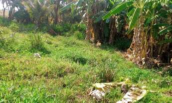 Imagem: Vendo chácara no município de itaberai