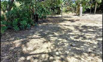 Imagem 4: TERRENO PLANO CENTRO CANAS SP