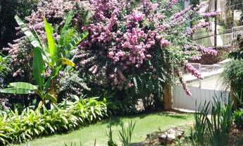 Imagem 2: Um Cantinho florido